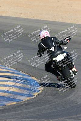 media/Jan-08-2022-SoCal Trackdays (Sat) [[1ec2777125]]/Turn 10 Backside (930am)/